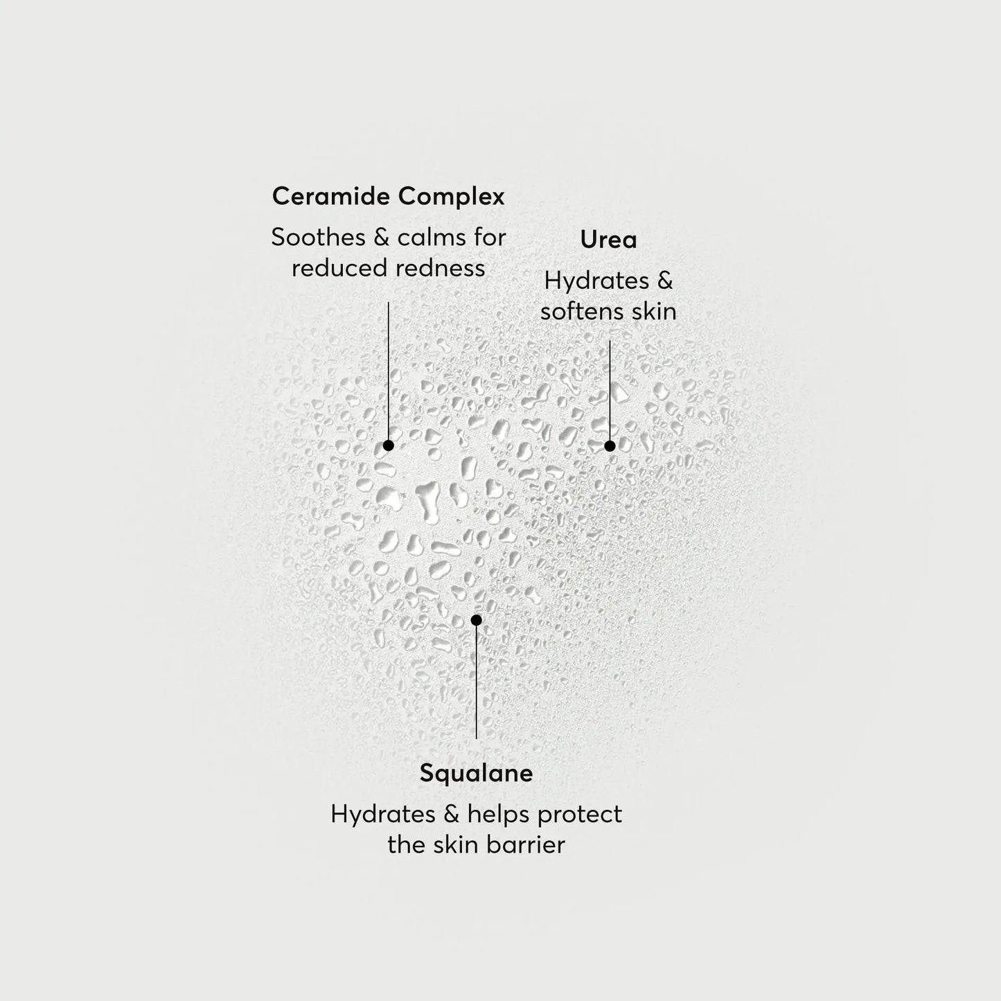 barrier-bounce-bi-phase-mist-g6 NATR-10167-Alt-Images-Barrier-Bounce-Bi-Phase-Toner-Mist_01.webp