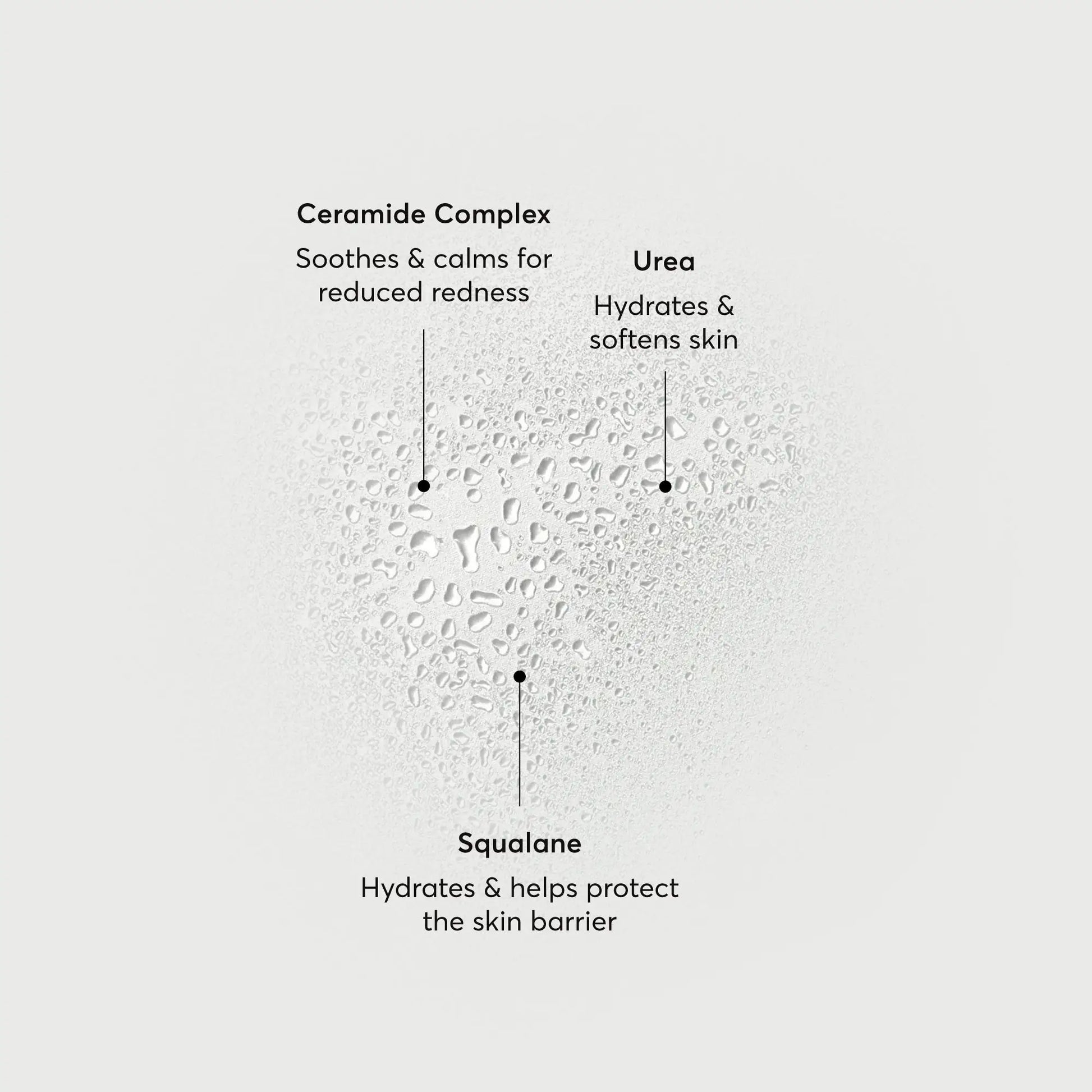 barrier-bounce-bi-phase-mist-g6 NATR-10167-Alt-Images-Barrier-Bounce-Bi-Phase-Toner-Mist_01.webp