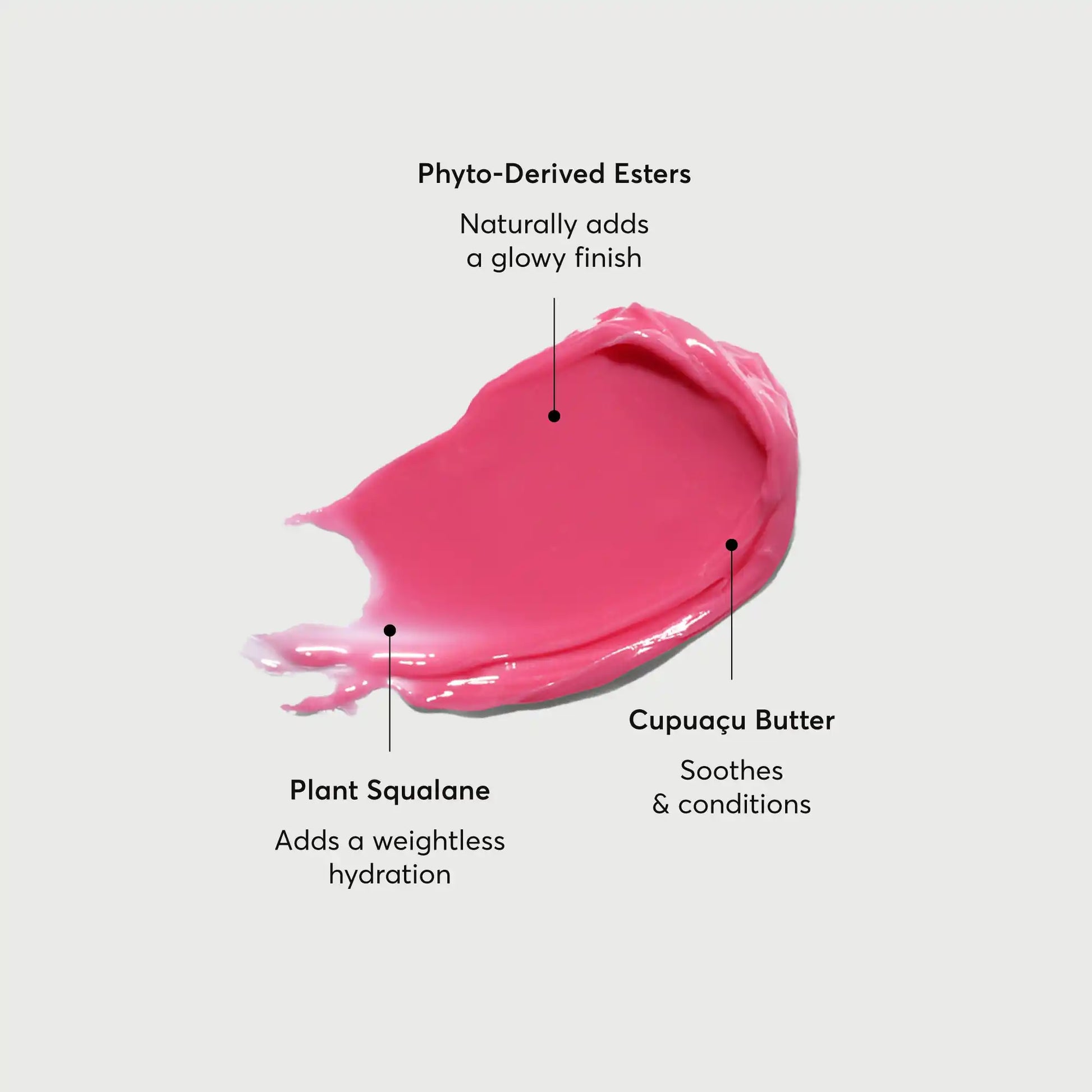 phyto-glow-lip-balm-camellia-h5 NATR-60075-Alt-Images-Phyto-Glow-Lip-Balm-Camellia-01.webp
