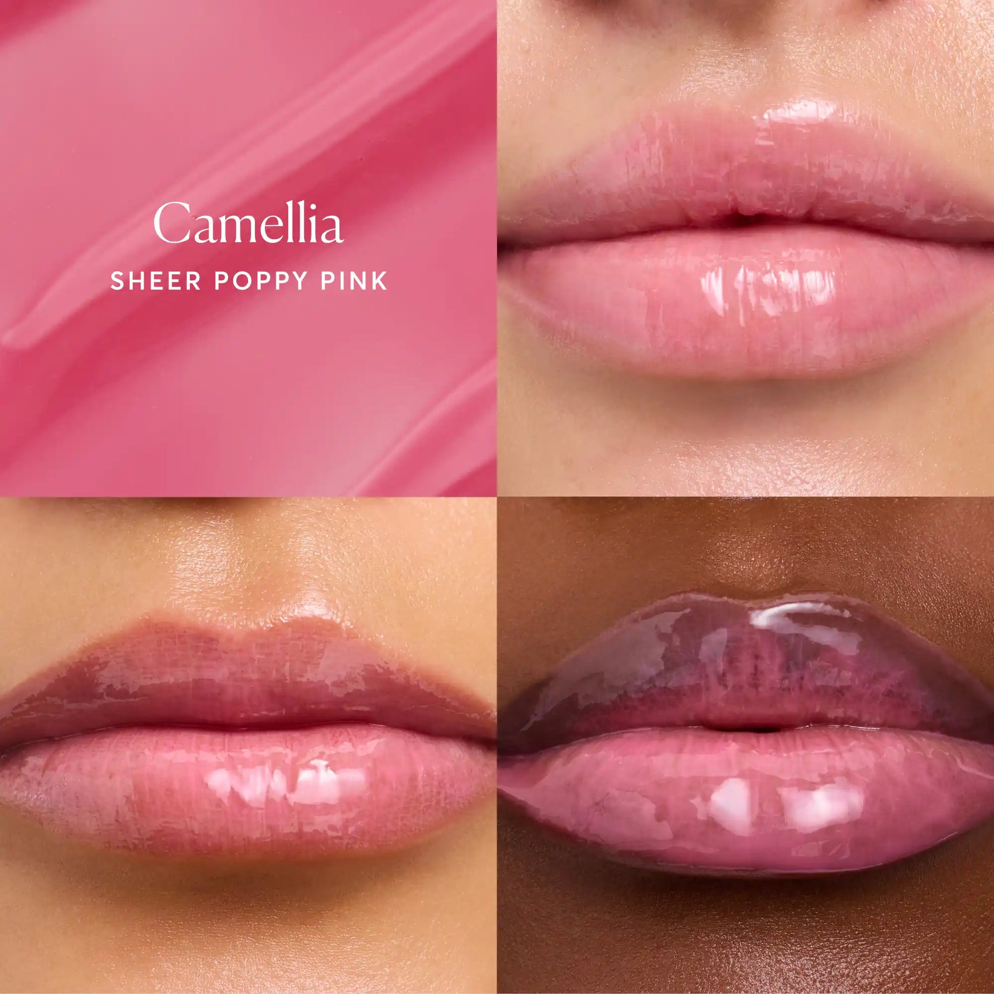 phyto-glow-lip-balm-camellia-h5 NATR-60075-Alt-Images-Phyto-Glow-Lip-Balm-Camellia-05.webp